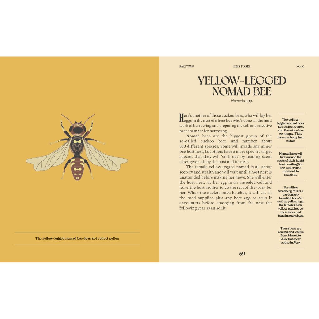 Yellow Legged Nomad Bee
