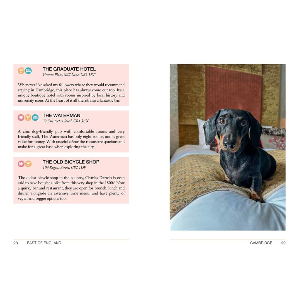 Dog on a bed with text about hotels and shops in Cambridge