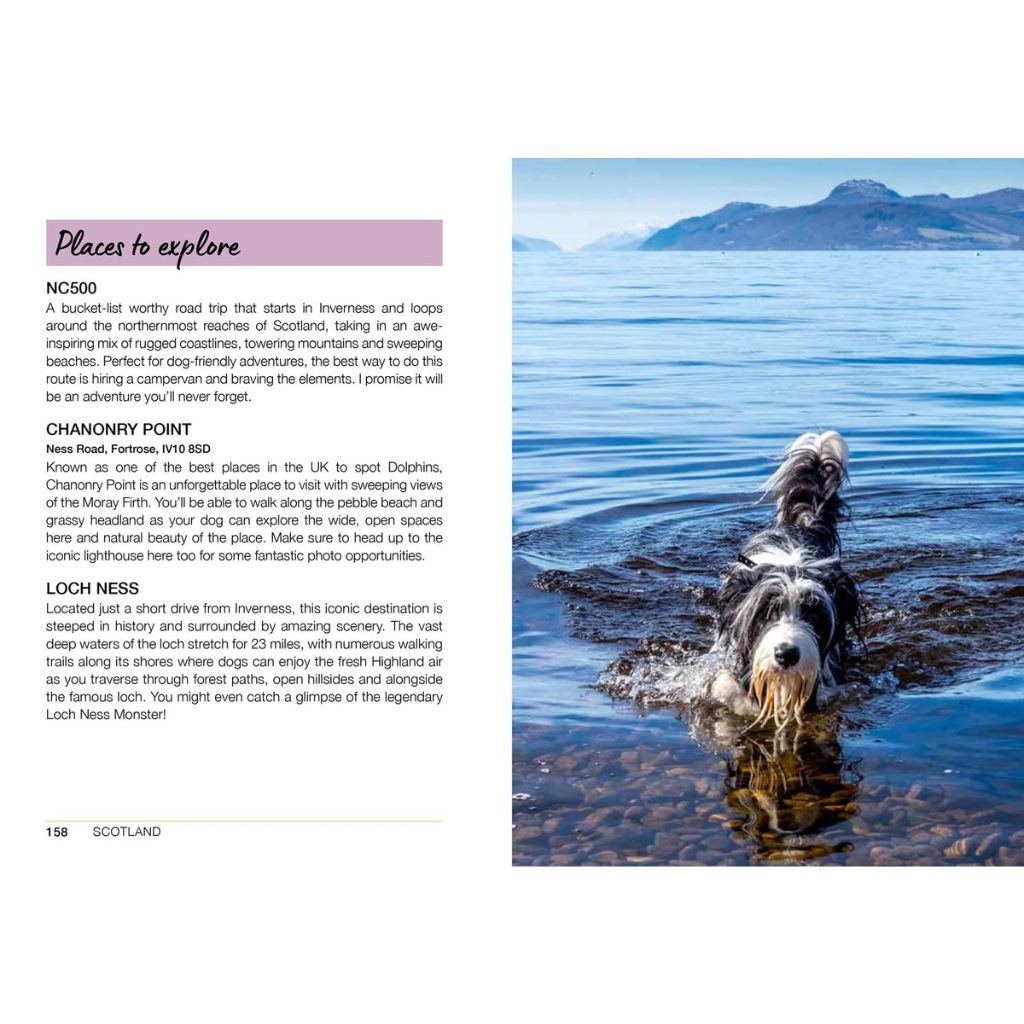 Dog playing in water with scenic background and text about Scotland on the left