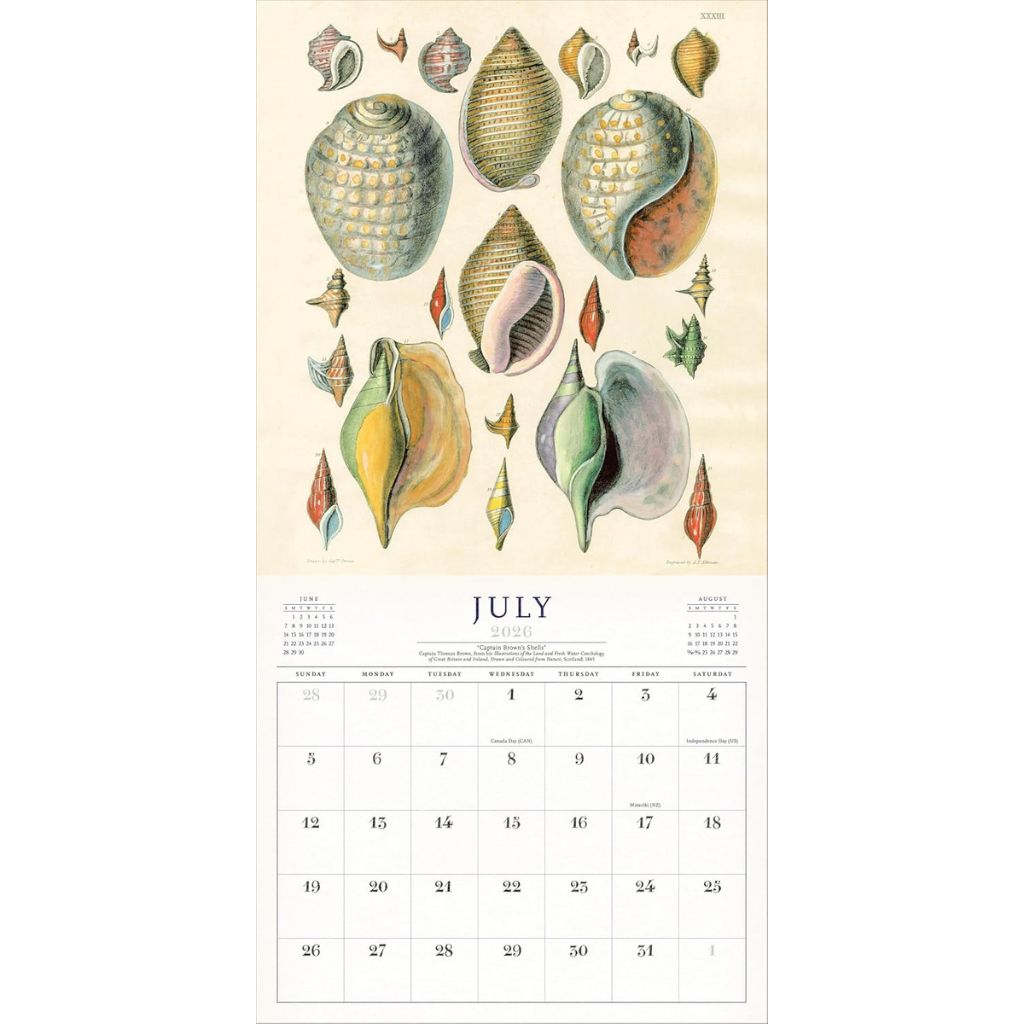 Calendar page for July with vintage shell illustrations on a beige background