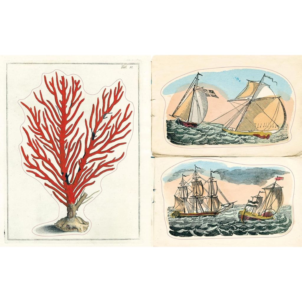 Illustrated book or card with red coral and images of ships on a white background