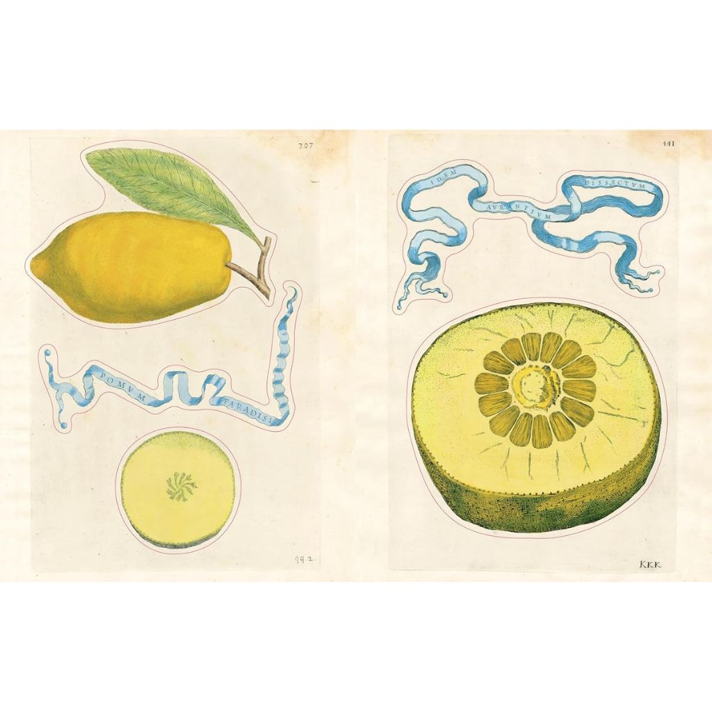 John Derian Stickers