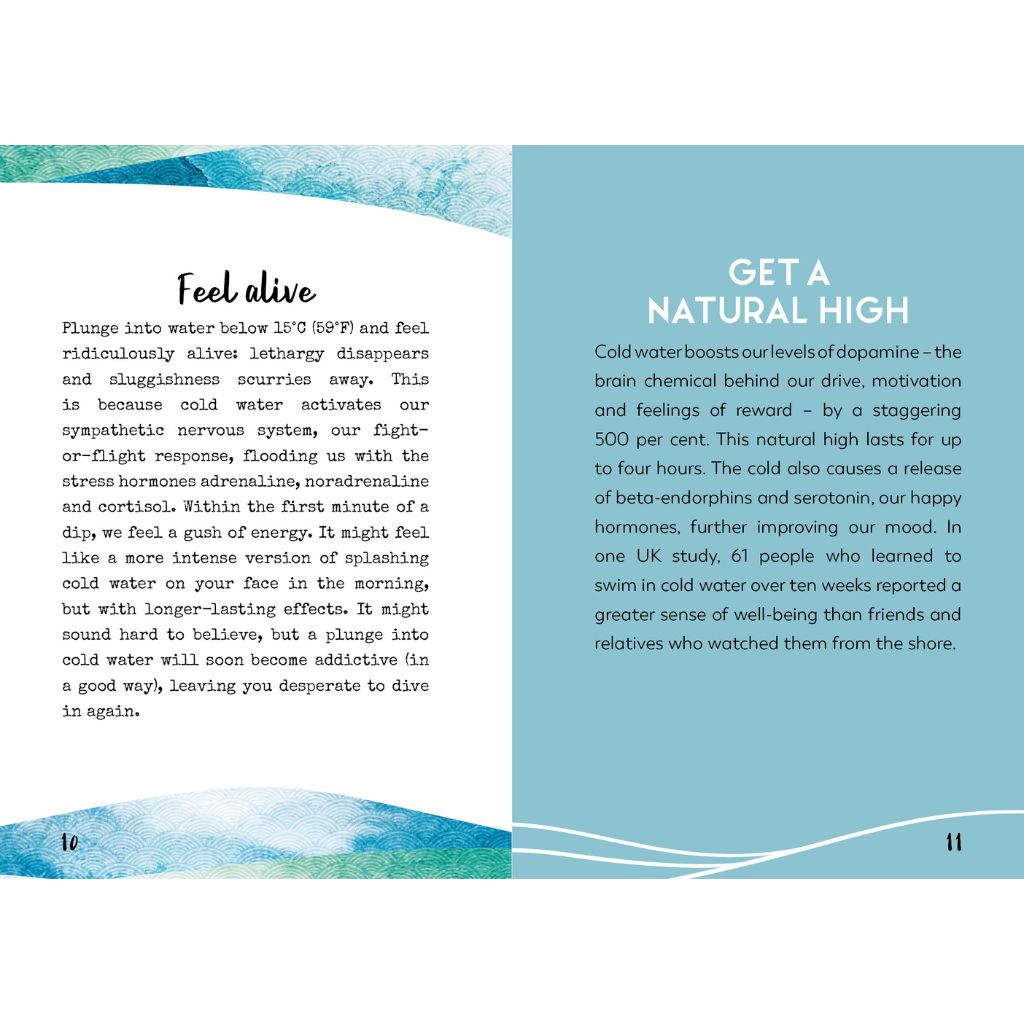 Little Book For Wild Swimmers