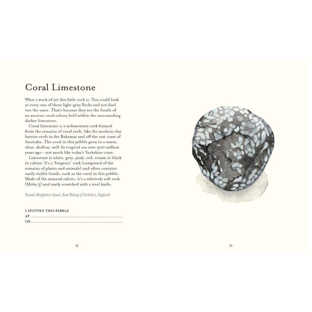Coral Limestone