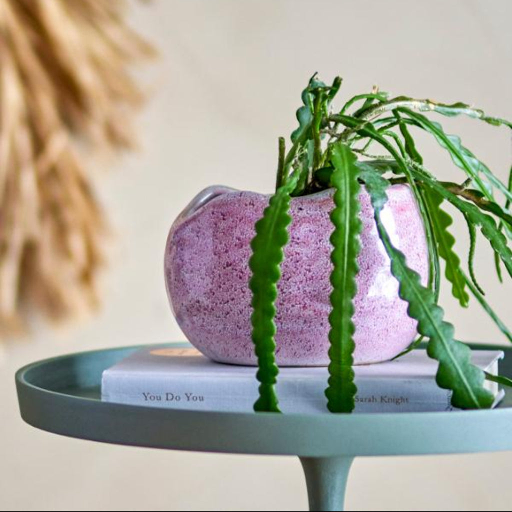 Pink textured vase with a cactus plant on a green table against a neutral background