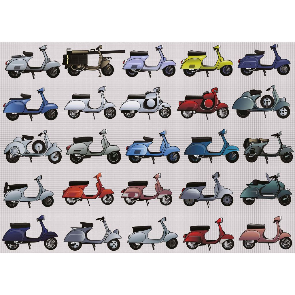 Scooter Puzzle
