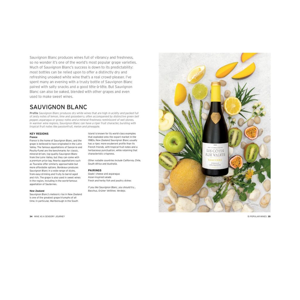 Wine: Taste Pair Pour book, page on Sauvignon blanc
