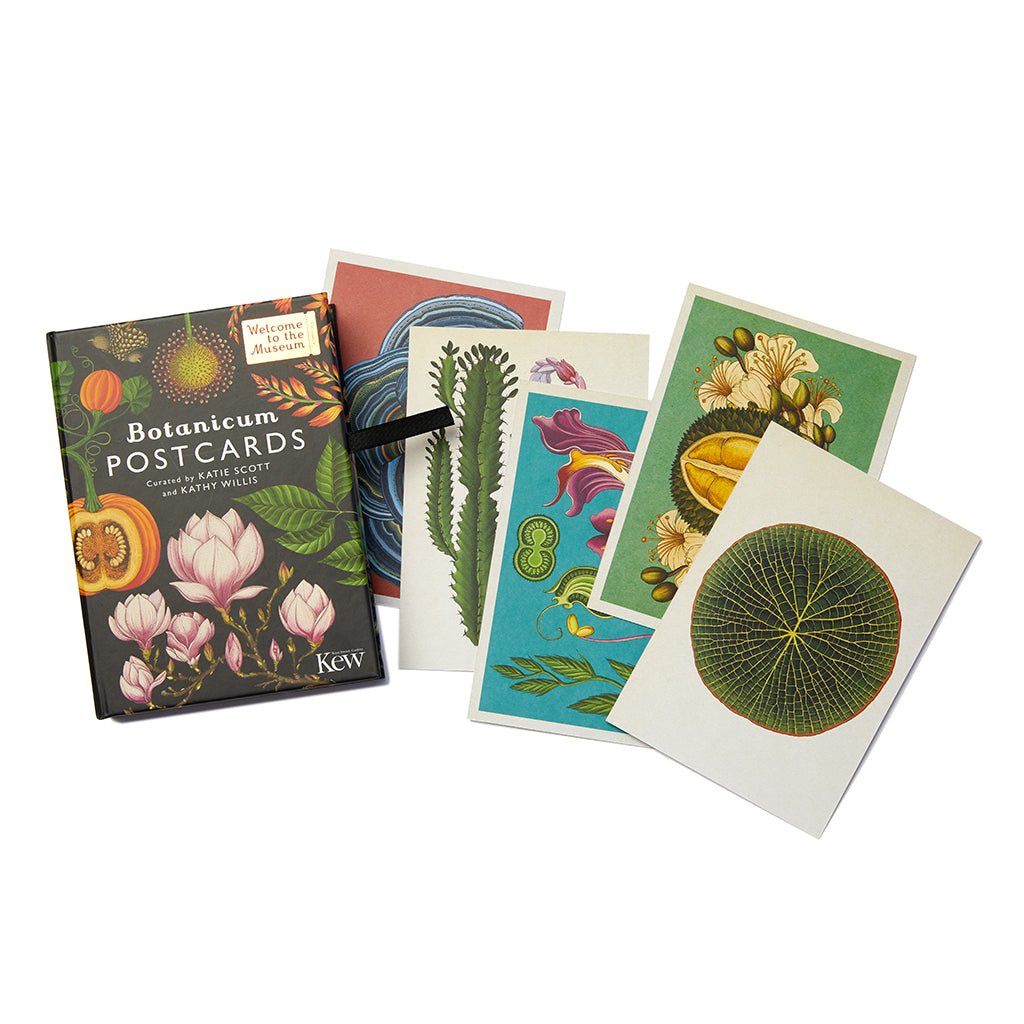 Botanicum Postcards Collection - Life of Riley