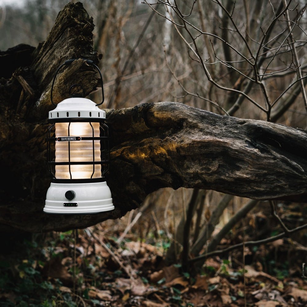 Forest LED Portable Lantern - Vintage White - Life of Riley
