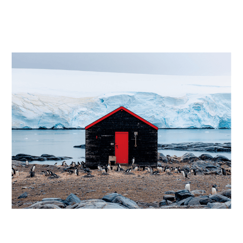 Postcards - Accidentally Wes Anderson - Life of Riley