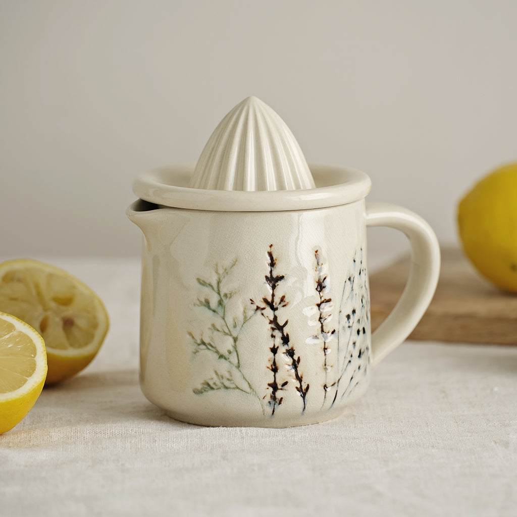 Ceramic Juicer 
