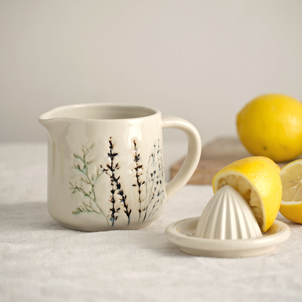 Cermaic Juicer