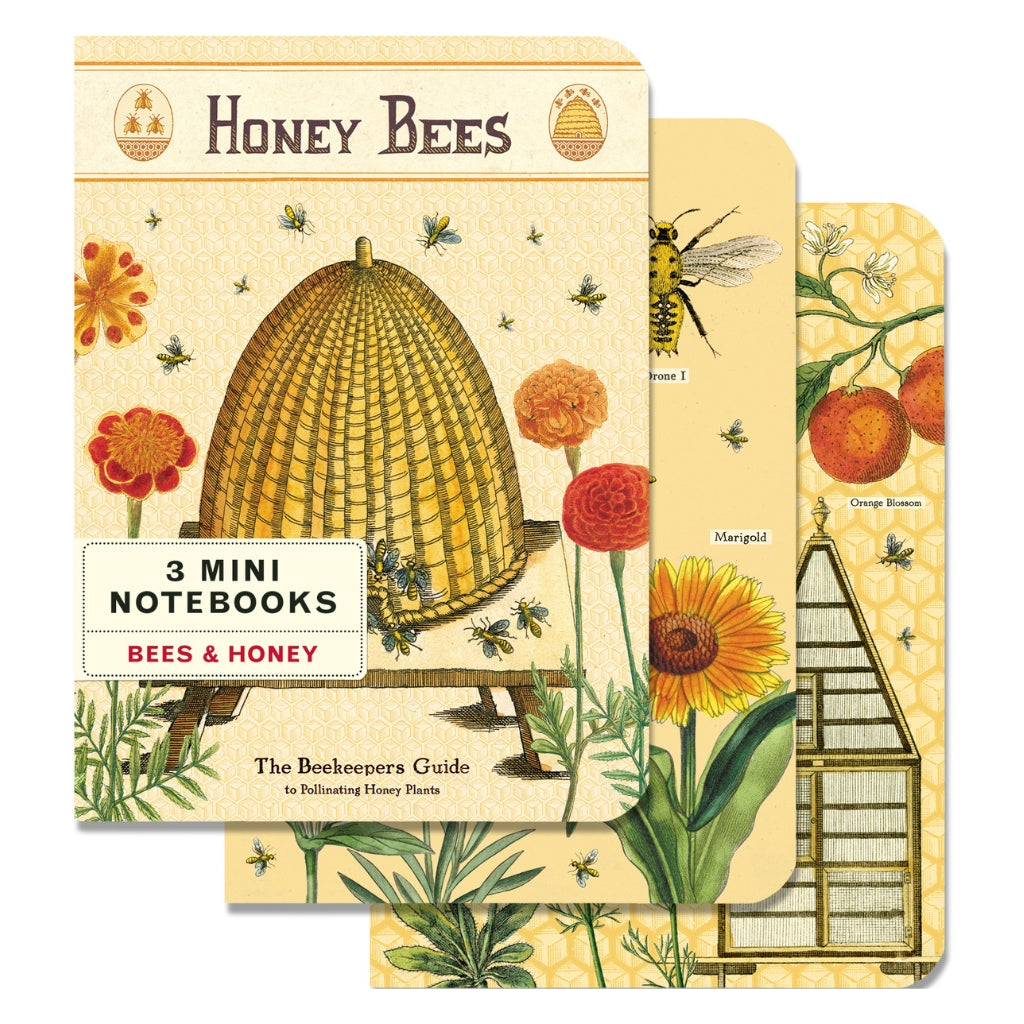 Bee & Honey Mini Notebooks - Set of Three