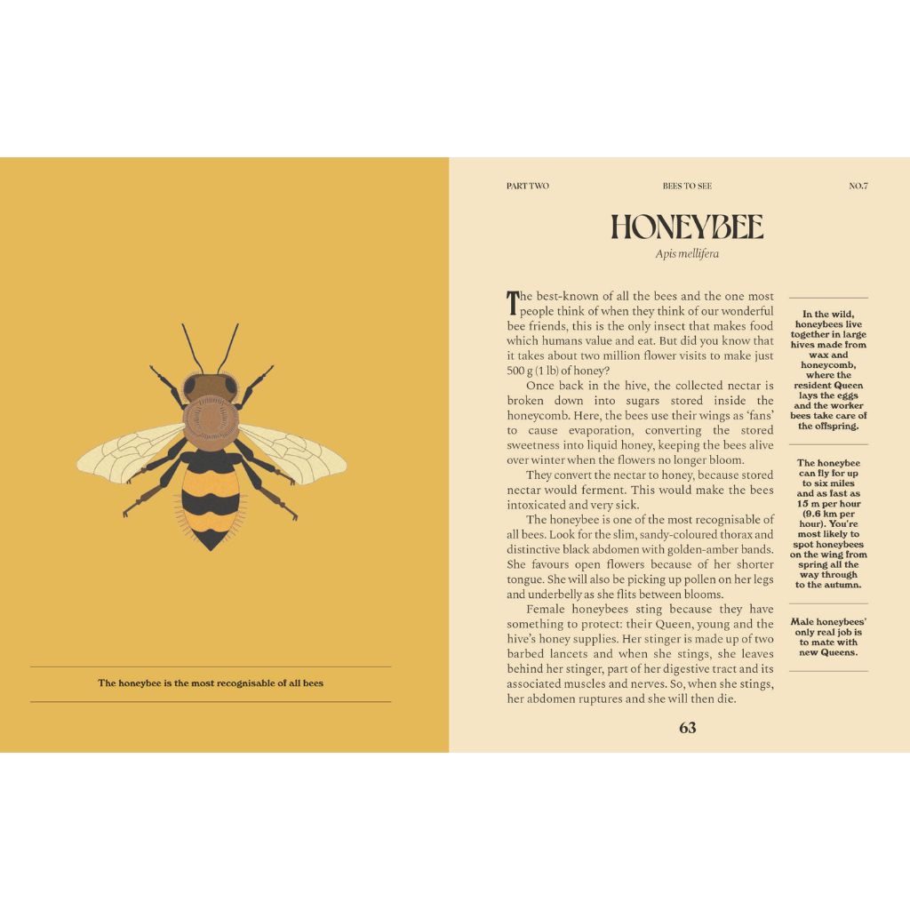 Honeybee
