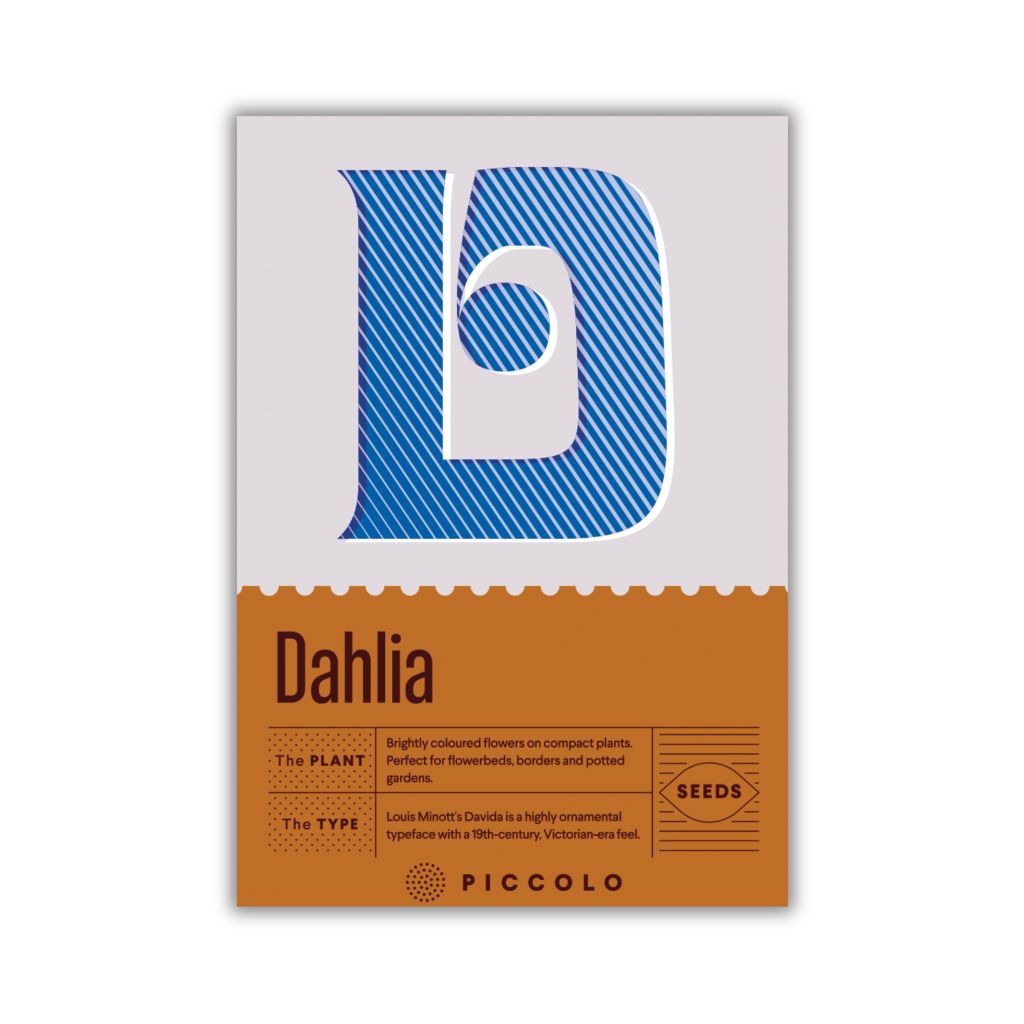 Botanical Alphabet “DAD” Seed Gift Set