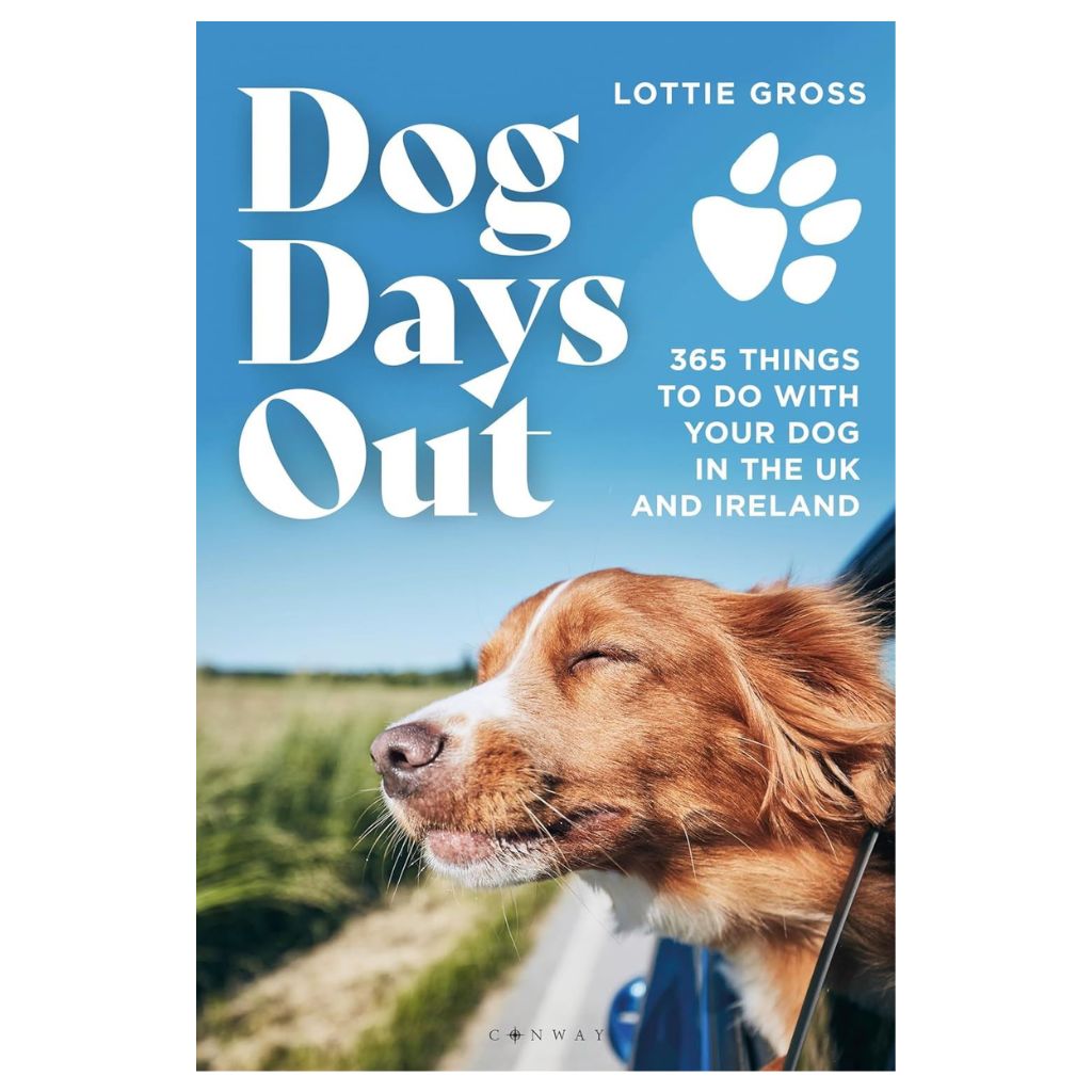 Dog Days Out A4 Book