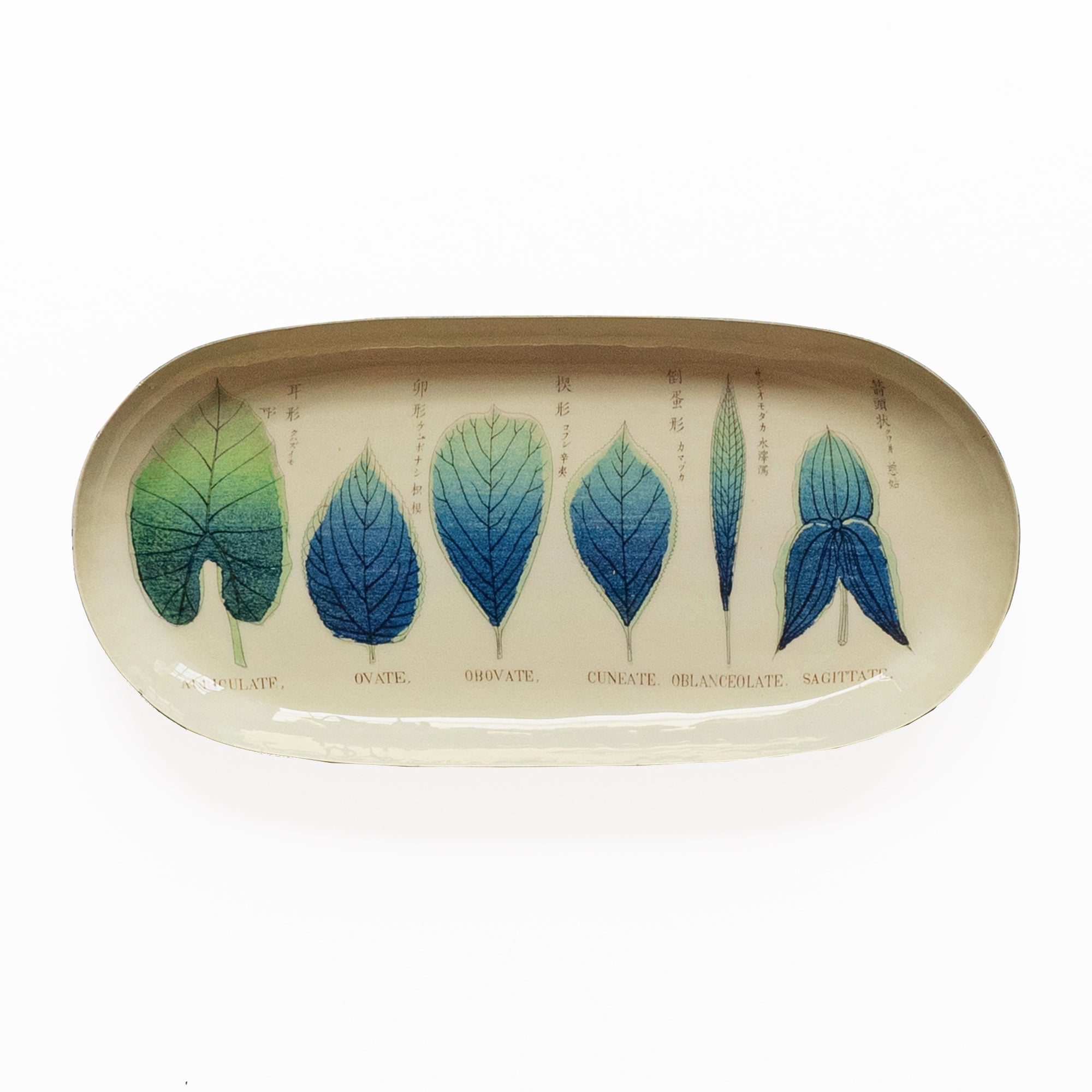 Shapes of leaves enamel tray