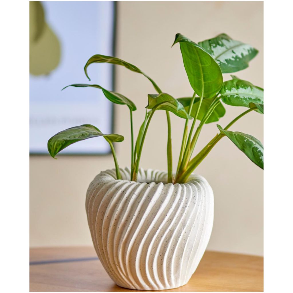 Maham Flowerpot