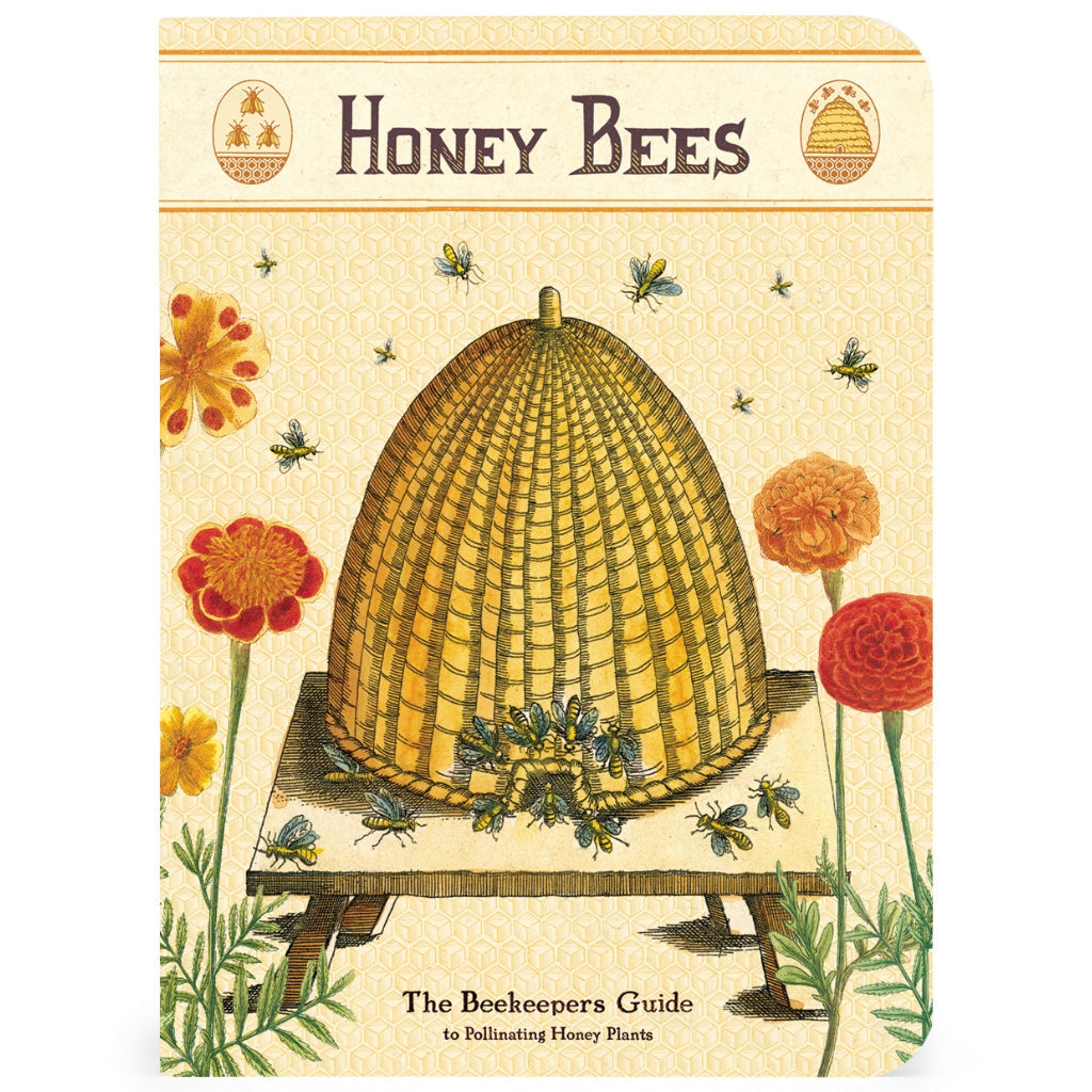 Bee & Honey Mini Notebooks - Set of Three