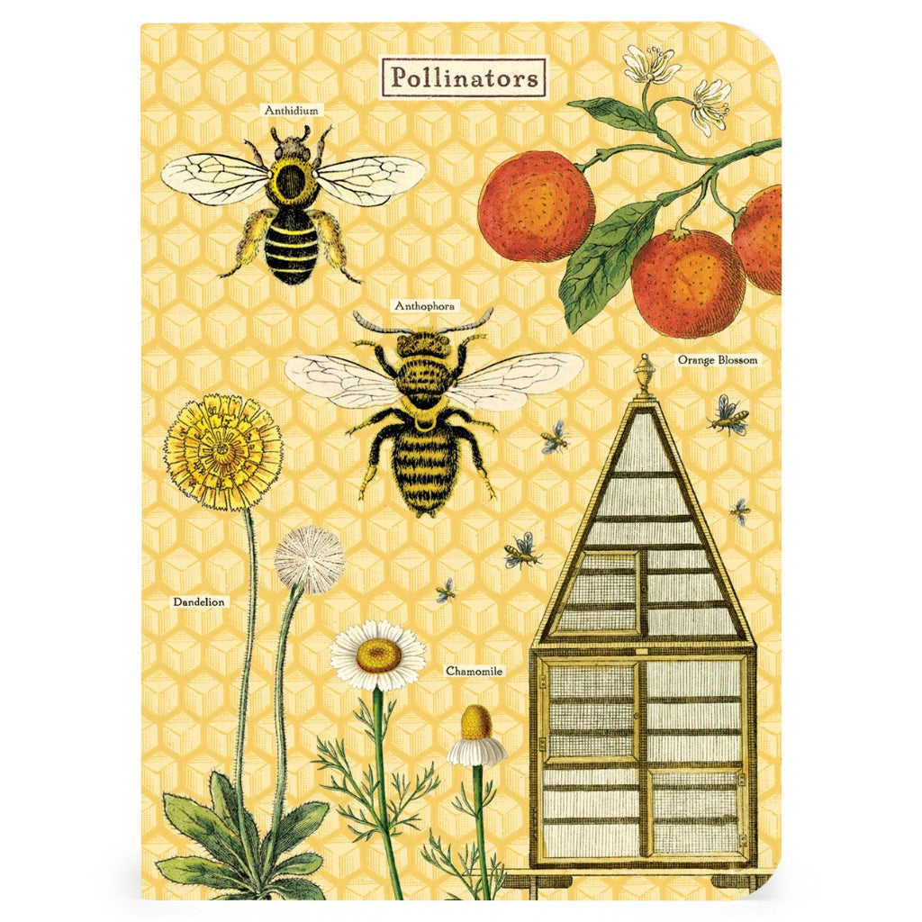 Bee & Honey Mini Notebooks - Set of Three