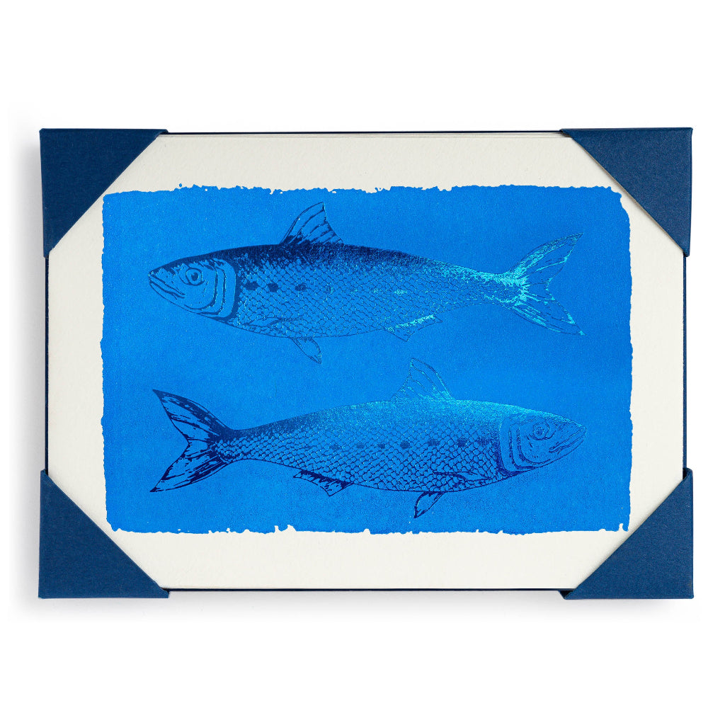 Sardine Notecard