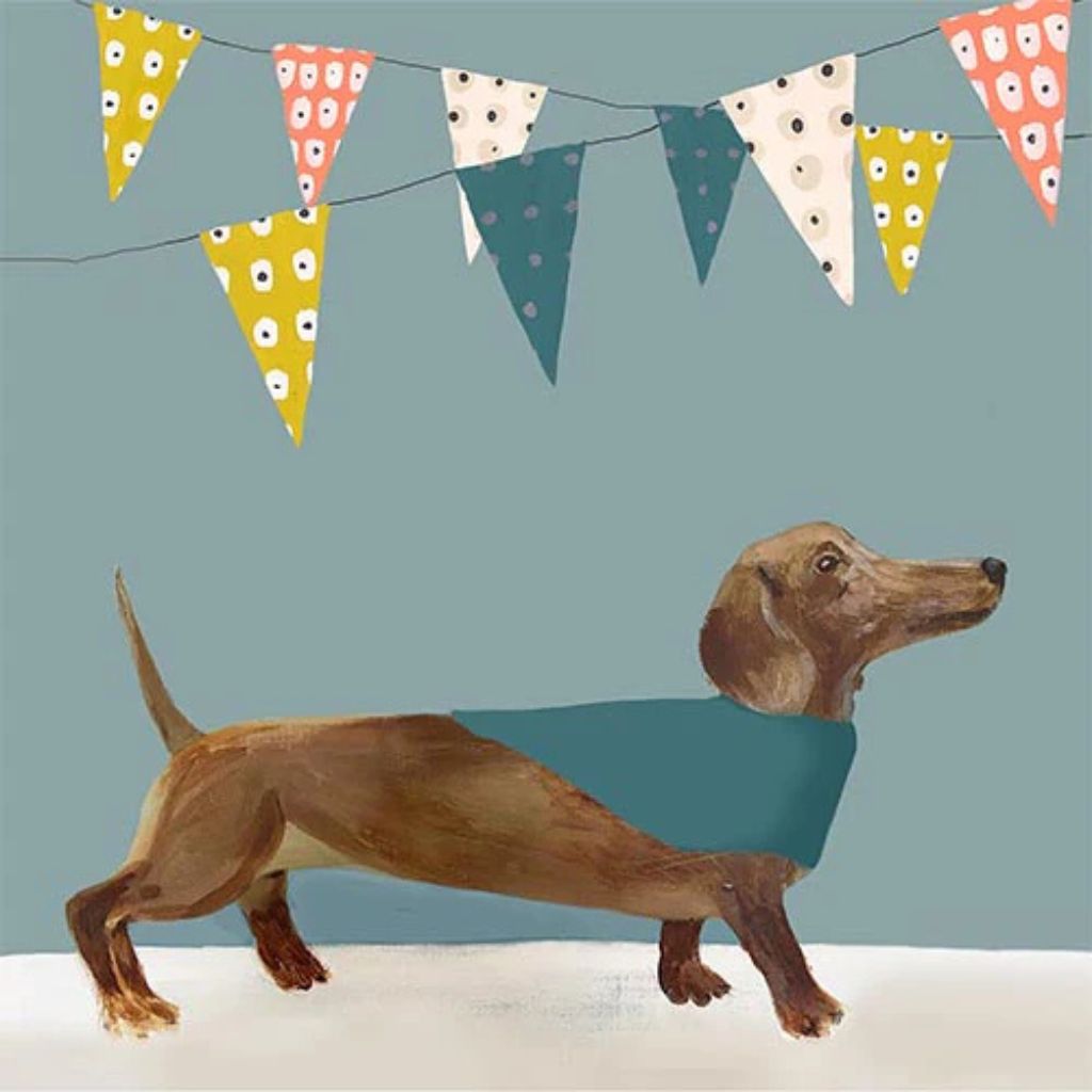 Sausage dog with bunting