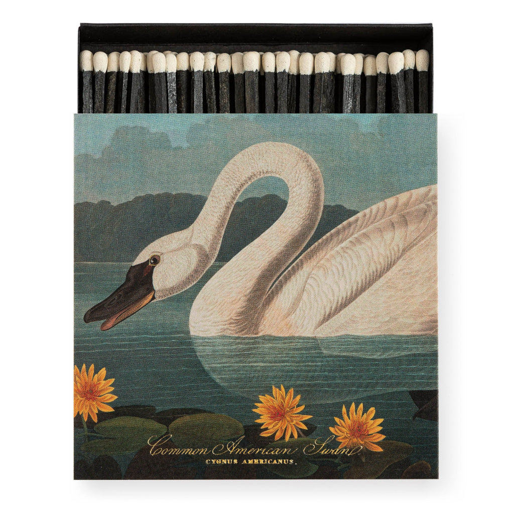 Luxury Matches - The Common American Swan by Audubon