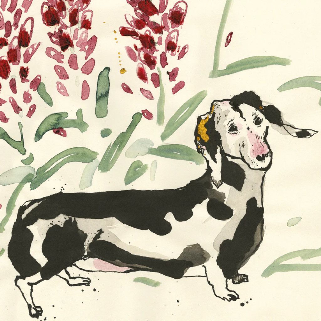 Tosca in the Lupins Dog Card
