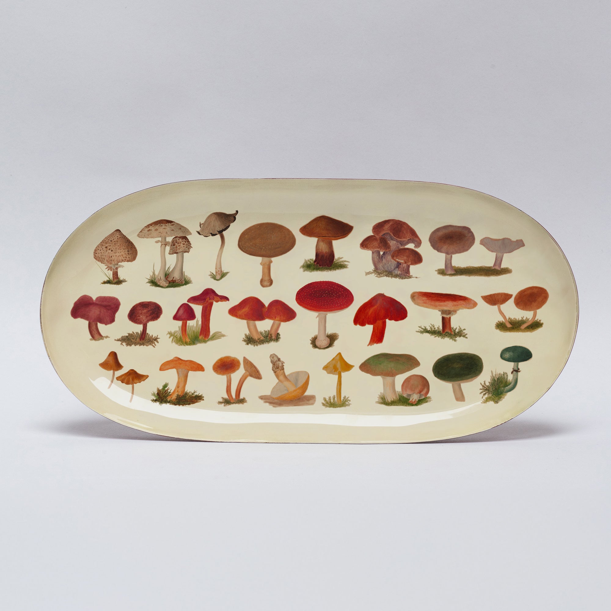 Enamel Printed Tray - Fungi - Life of Riley