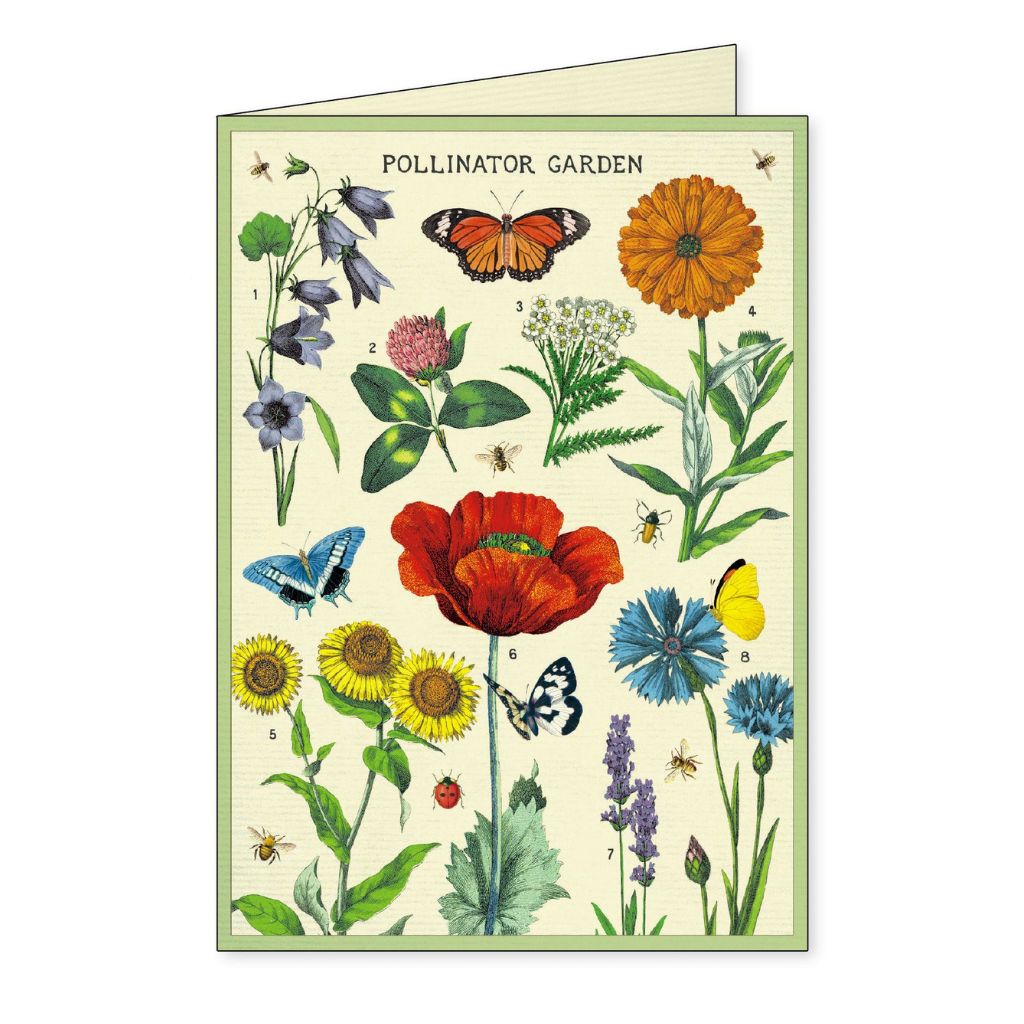 boxed notecards gardening