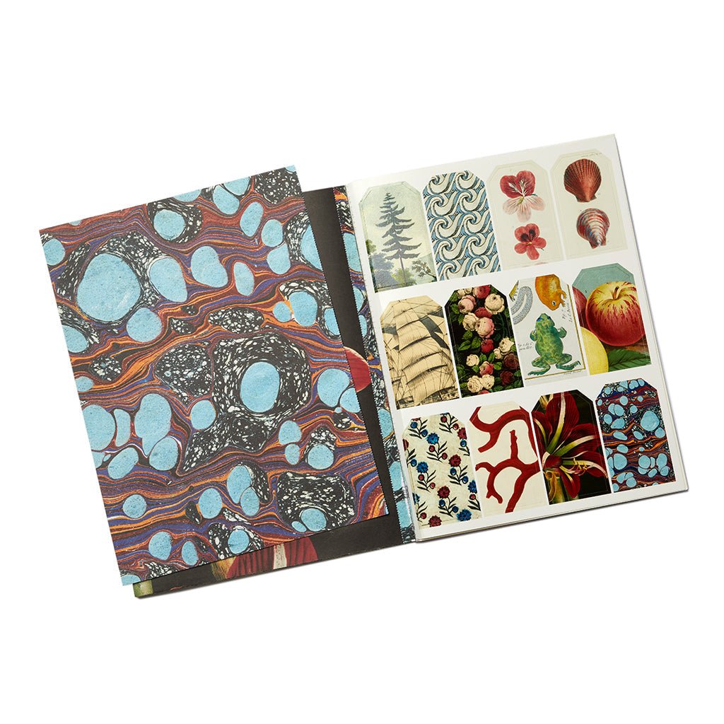 John Derian Wrapping Paper & Gift Tags Book - Life of Riley