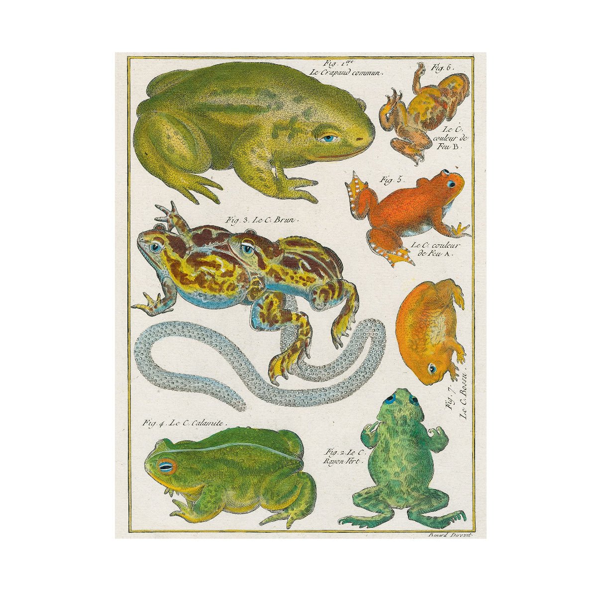 John Derian Wrapping Paper & Gift Tags Book - Life of Riley