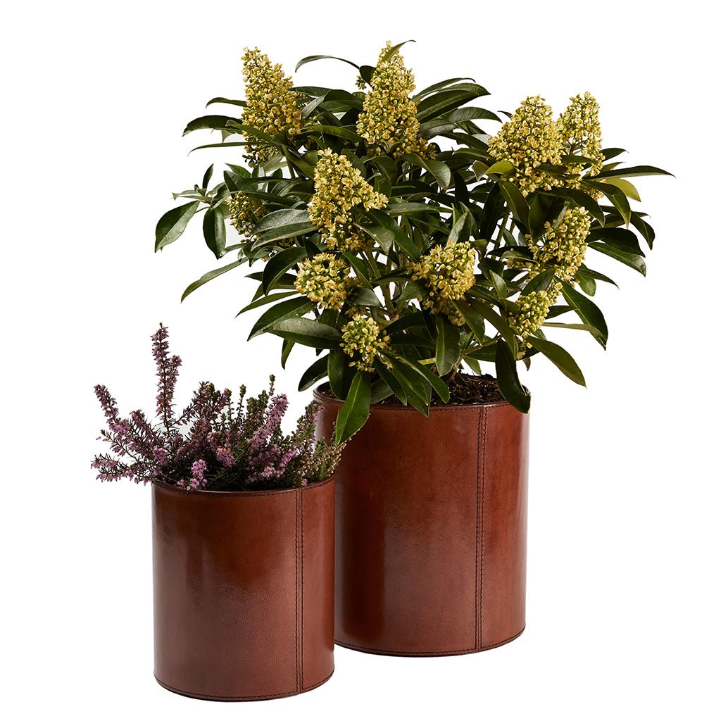 Leather Plant Holder - Two Sizes - Life of Riley
