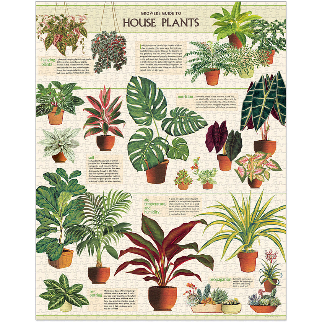 puzzle - house plants