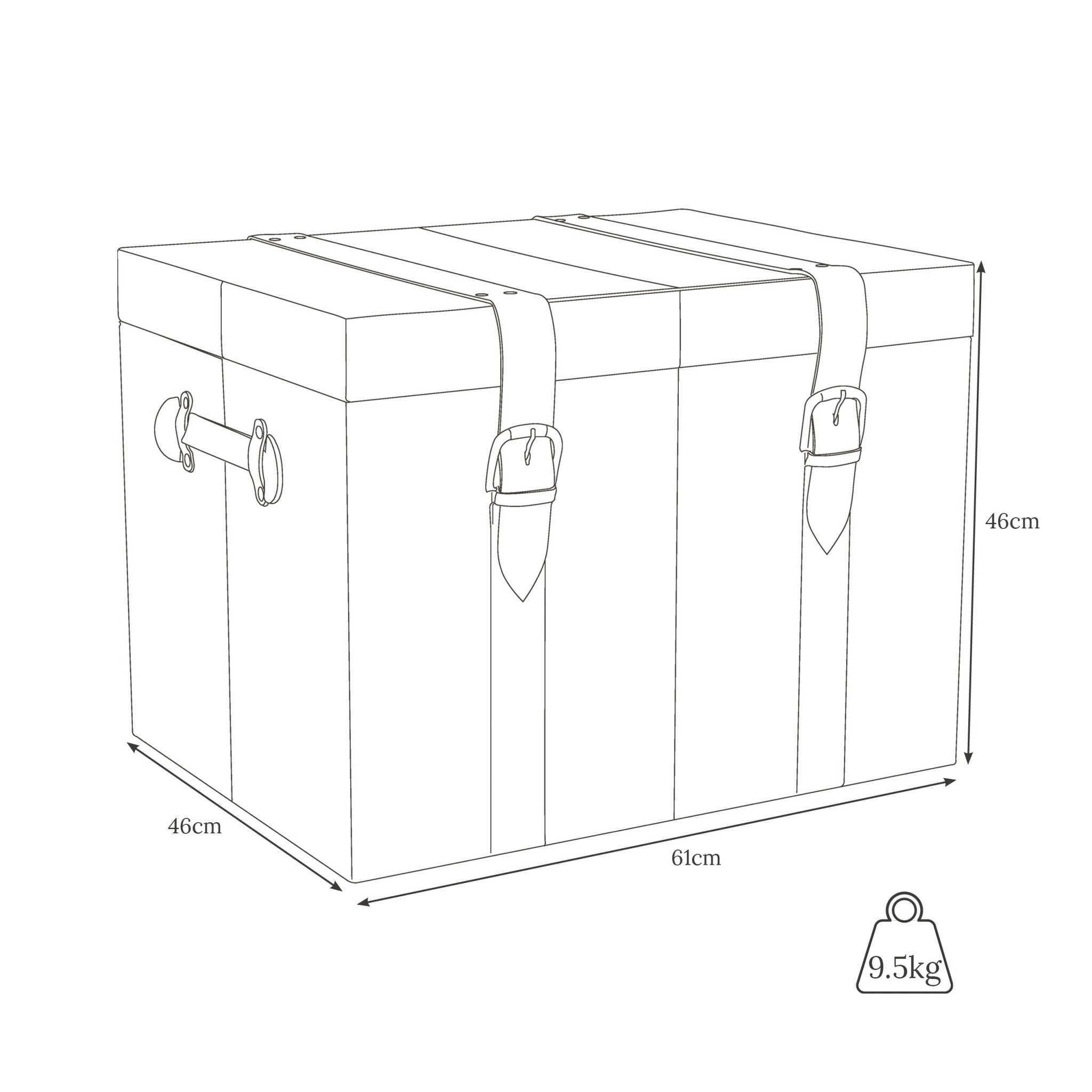 Trunk / Large, single / Steamer - Life of Riley